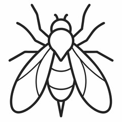Fruit Fly outline icon on white background