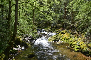 Naturnaher felsiger Talgrund am Oberlauf der Wildgutach kurz oberhalb des Zweribach-Einlaufs bei Wildgutach im mittleren Schwarzwald