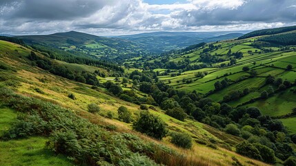 Obraz premium Rolling green hills and valleys stretch across County Tyrone, Ireland, bathed in soft mist and golden sunlight. 