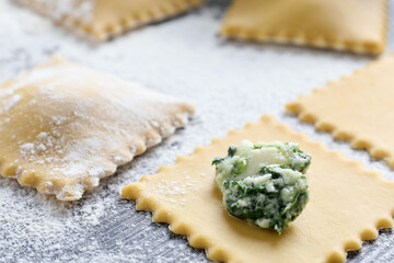 Making ravioli with cottage cheese and spinach at wooden table, closeup
