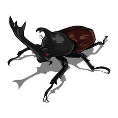 Beetle illustration cartoon character drawing