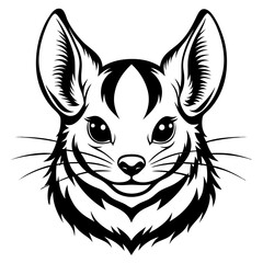 Chinchilla head drawing in pencil with dramatic black and white contrast