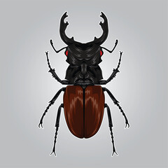 Beetle illustration cartoon character drawing