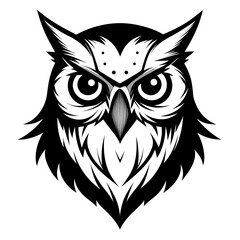 Owl head in pencil sketch with dramatic black and white shading details