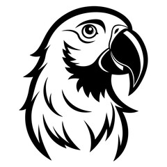 Parrot drawn in dramatic pencil sketch with expressive black and white style