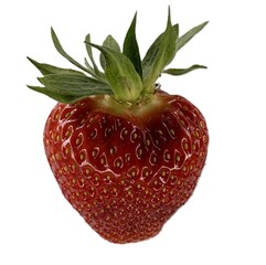 Fresh ripe strawberry isolated on white background