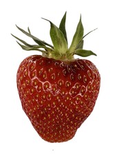 Shiny Ripe Strawberry with Leaves on White Background