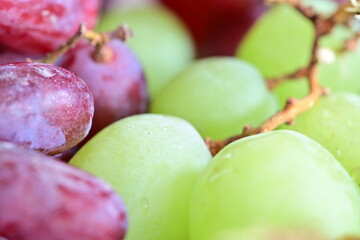 Fresh grapes in a ceramic bowl on a rustic wooden table.