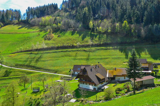 Schwarzwaldbauernhof im Talgrund des Zweribachs bei Wildgutach im Fr&uuml;hling
