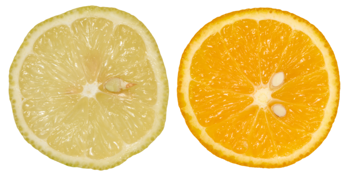 Two citrus fruit slices, a lemon and an orange, isolated background
