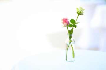 Minimalist photo of two delicate roses in a glass bottle with water on a white table. Bright, clean background ideal for romantic, floral, or wellness-themed designs.