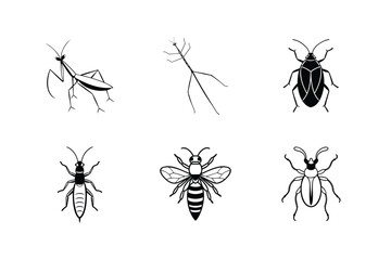 set of insects vector
