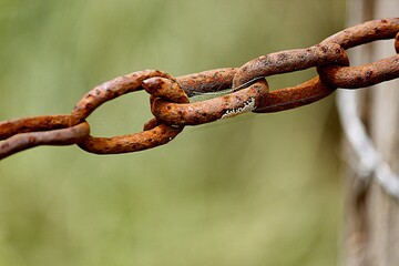 Close up of rusted chain links with interweaved spider webs.