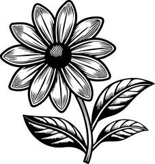 Fototapeta premium Web