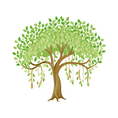 "Ultimate SVG Vector Design Bundle – Abstract, Geometric, Botanical, Mandala, Minimal, Vintage & Modern Elements for Cricut, Laser Cutting, Sublimation, and DIY Crafts"