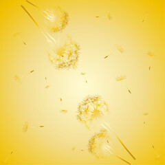 seamless pattern of down and dandelions with golden flowers on a golden background.Isolated, close-up