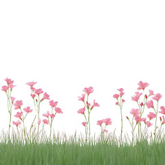 A vibrant display of pink flowers blooming amidst lush green grass, creating a natural and serene environment, perfect for decoration or nature-themed projects.