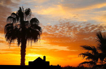 Silhouettes of palm trees and house against sunset sky in orange and blue colors (Tenerife, Canary Islands, Spain)
