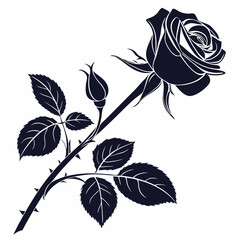 black and white rose
