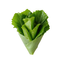 Fresh green lettuce leaves wrapped in a cone shape, isolated on white background, perfect for healthy meal preparation or salad presentation.