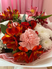 Colorful carnation flowers bloom outdoors to decorate flower beds