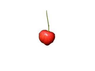 Ripe red cherry isolated on a white background. Red cherry with water droplet 