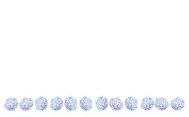 タマアジサイ　③