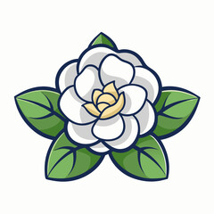 Fototapeta premium vector illustration of a rose