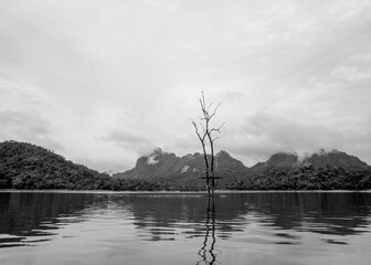 Serene Lake Monochrome Landscape: A tranquil black and white captures a still lake reflecting the...