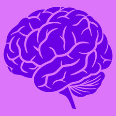 Obraz premium A purple human brain illustration, isolated on a pink background silhouette vector