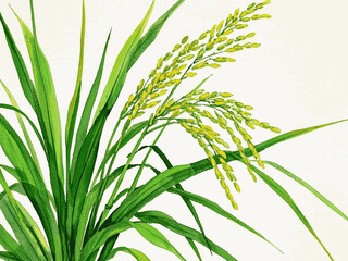 Verdant Grain rice stalks isolated watercolor vector illustration svg
