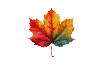 Vibrant autumn maple leaf watercolor painting isolated transparent background perfect for fall designs