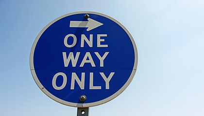 Blue one way only street sign against bright sky. Round one way only sign with white lettering provides clear direction for drivers.