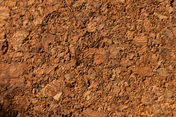 Close-up with shallow depth of field. Surface of pressed cork wood. Orange warm background