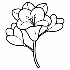 white flower isolated on white background