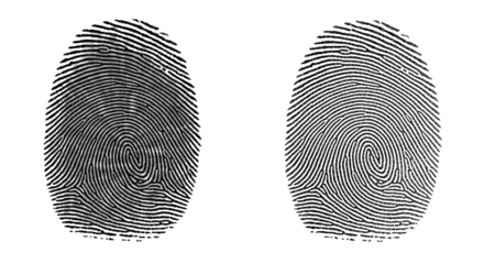 Contrasting fingerprint impressions on a dark canvas