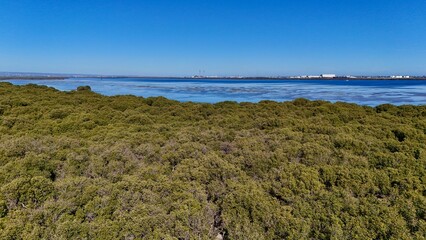 Stunning aerial view of the St Kilda Mangrove Trail and surrounding salt pans in North Adelaide,...