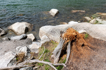Weathered tree stump on the rocky shore of &Scaron;trbsk&eacute; pleso lake in the High Tatras, Slovakia, with crystal-clear mountain water and granite boulders.