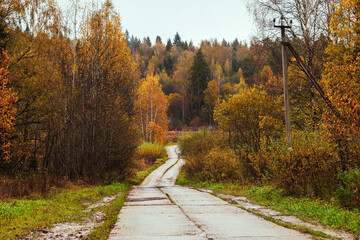 autumn countryside on a cloudy day. It's autumn with rain, mist, and clouds