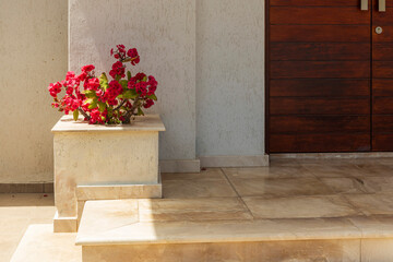 Euphorbia milii, Vibrant red flowers in a stone planter adorn a sunny entrance with a wooden door.