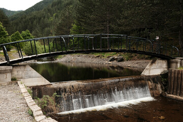Small pedestrian bridge over a calm river in the forest near Mokra Gora, Serbia country in spring time.