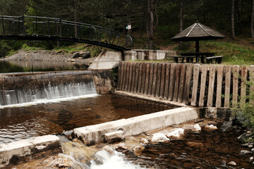 Obraz premium Rustic dam and picnic area by the river Kamisna surrounded by pine forest, Mokra Gora, Serbia.