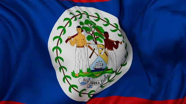 Belize flag swaying in the wind, endless cycled loop video background