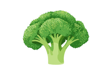 ブロッコリーのイラスト(png)