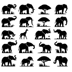 Obraz premium set of Elephant silhouette, Elephant silhouette