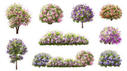 set of flowers, Vertor set of spring blossom tree,bloomimg plants side view for landscape elevation and section,eco environment concept design,watercolor sakura illustration,colorful season