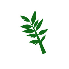 A collection of green tropical leaves in various shapes and sizes, including monstera, palm, and fern leaves, arranged in a seamless pattern on a white background.