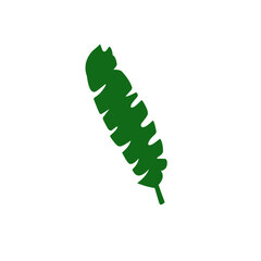 A collection of green tropical leaves in various shapes and sizes, including monstera, palm, and fern leaves, arranged in a seamless pattern on a white background.