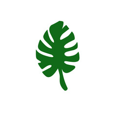 A collection of green tropical leaves in various shapes and sizes, including monstera, palm, and fern leaves, arranged in a seamless pattern on a white background.