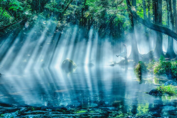 幻想的な朝 光のシャワーを浴びて